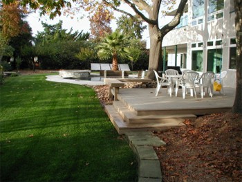 New Back Yard.jpg (38643 bytes)